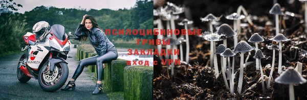 эйфоретик Алексеевка