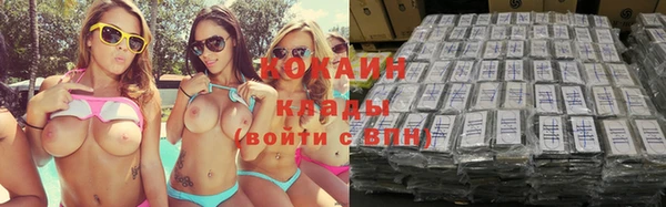 гидра Алексин