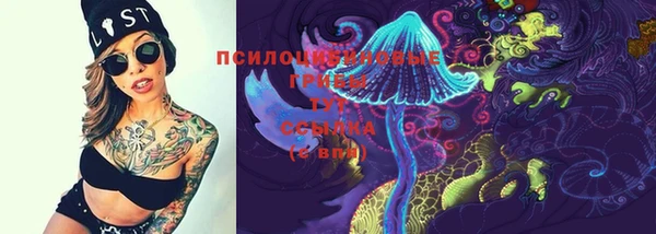 гидра Алексин