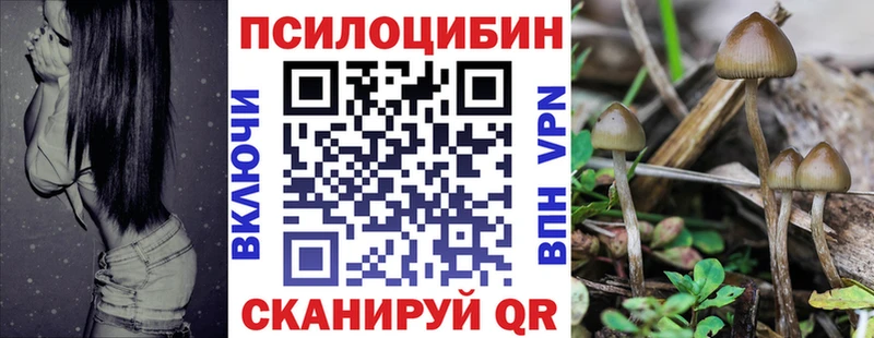 mega ссылки  Дмитриев  Галлюциногенные грибы прущие грибы 
