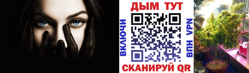 Каннабис сатива Дмитриев